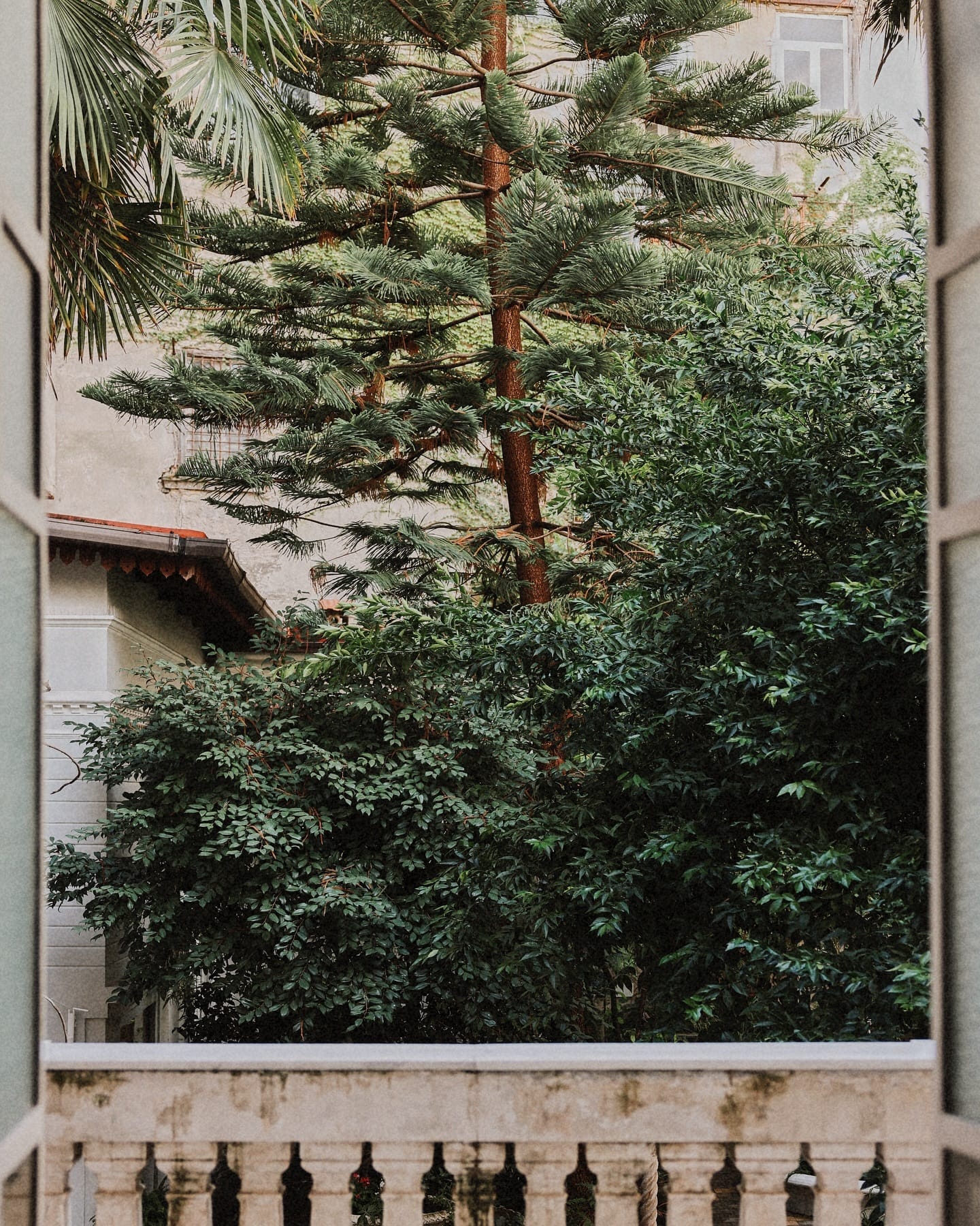 Artemisia Domus Giardino un rifugio di charme nel cuore autentico di Napoli